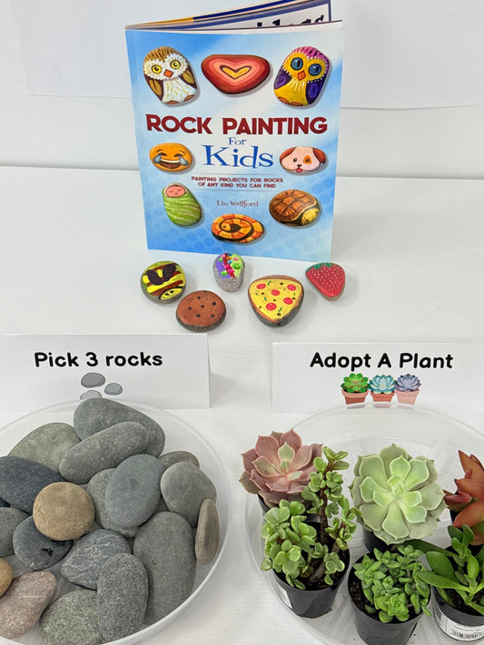 Painted Rocks Workshop